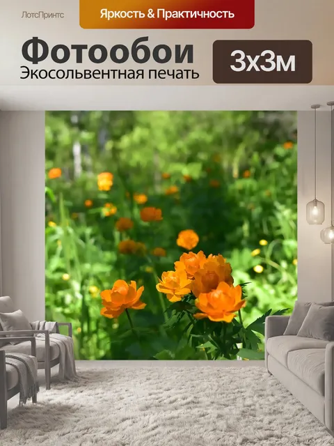Фотообои Цветы