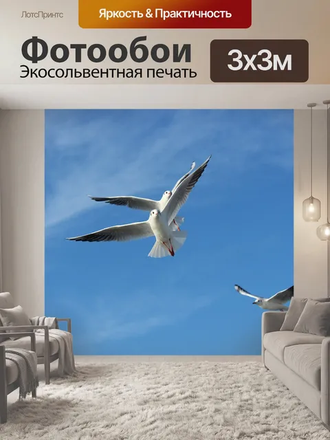 Фотообои Чайка