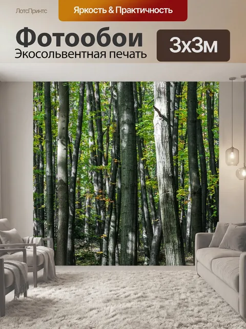 Фотообои Лес