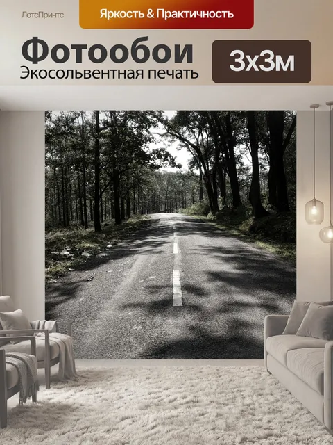 Фотообои Дорога