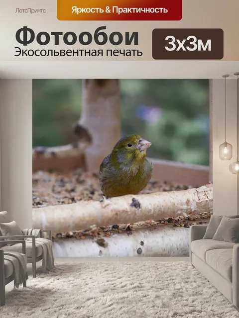 Фотообои Птица
