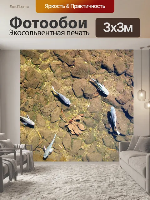 Фотообои Рыба