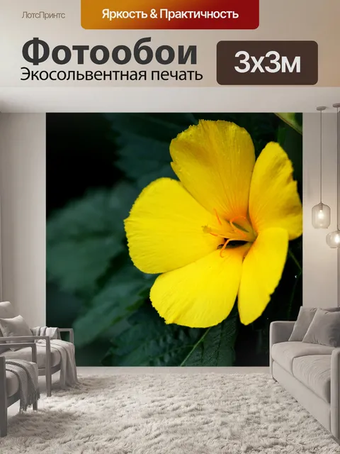 Фотообои Красота Золотой цветок