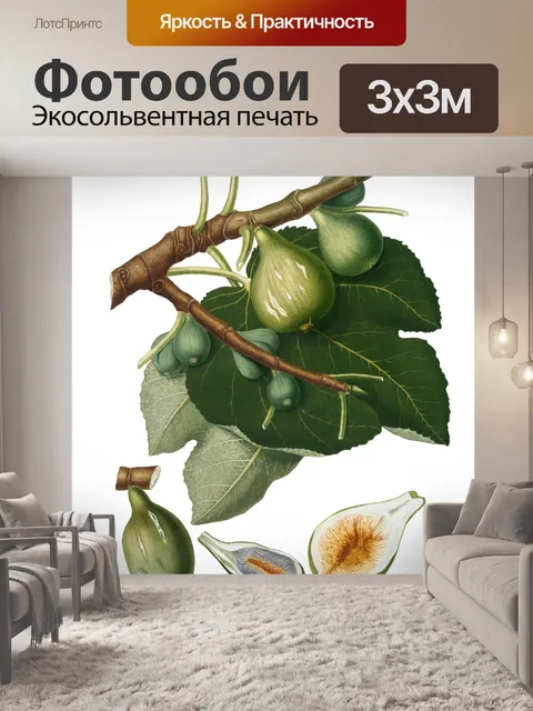 Фотообои Инжир Винтаж Ботаническое Искусство