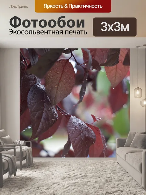 Фотообои Листья