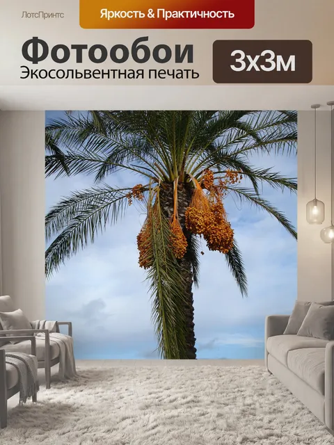 Фотообои Финиковая пальма