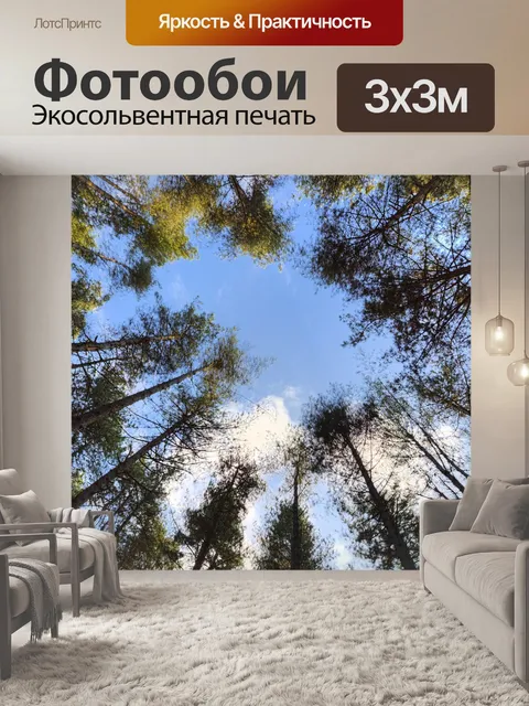 Фотообои Лес