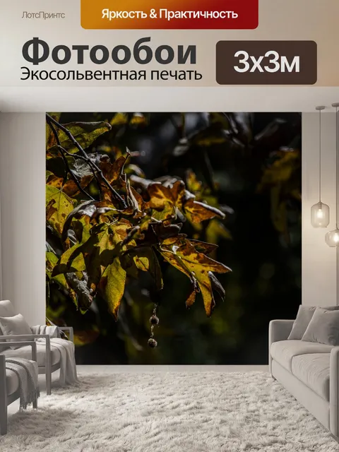 Фотообои Осенние листья