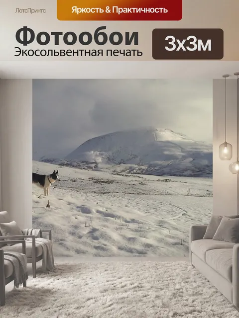 Фотообои Снег