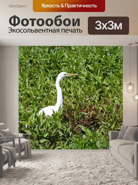 Фотообои Птица
