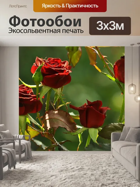 Фотообои Розы