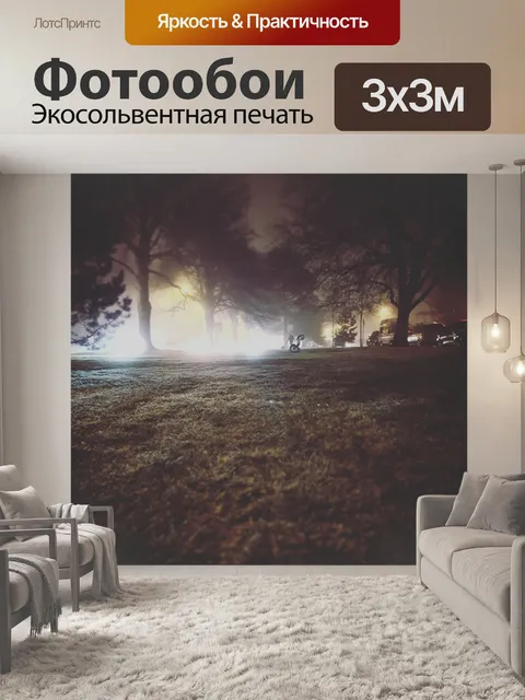 Фотообои Прогулка в темноте