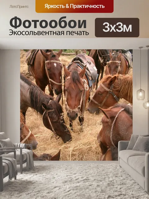 Фотообои Кони