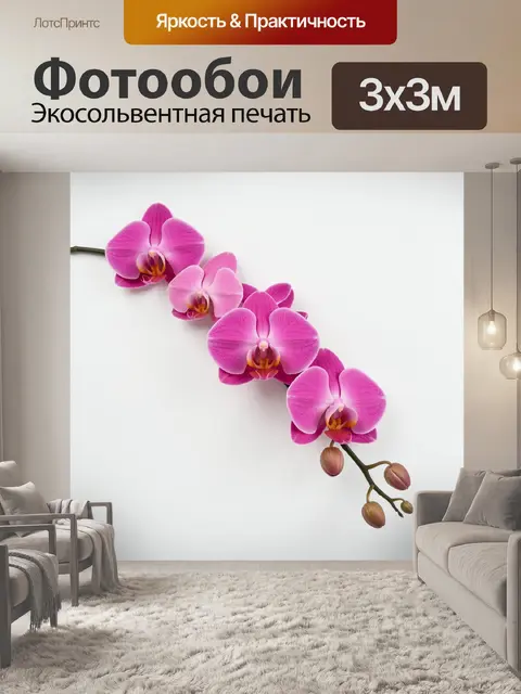 Фотообои Розовая орхидея на белом фоне