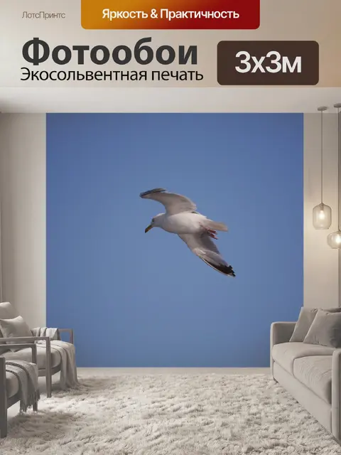 Фотообои Природа