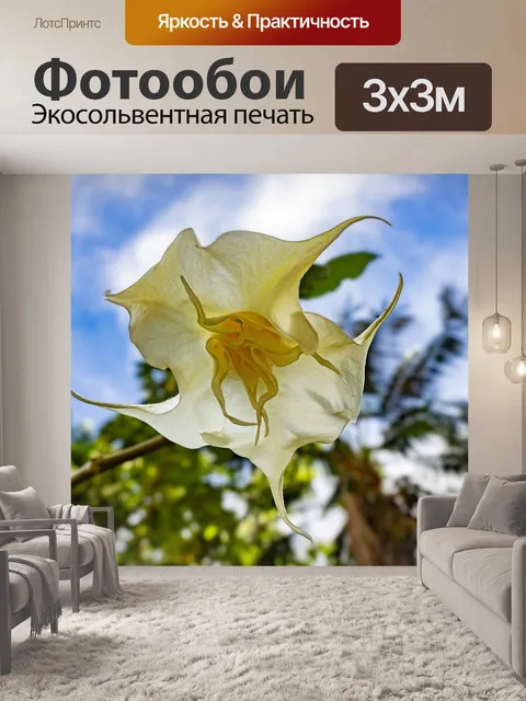 Фотообои Цветы