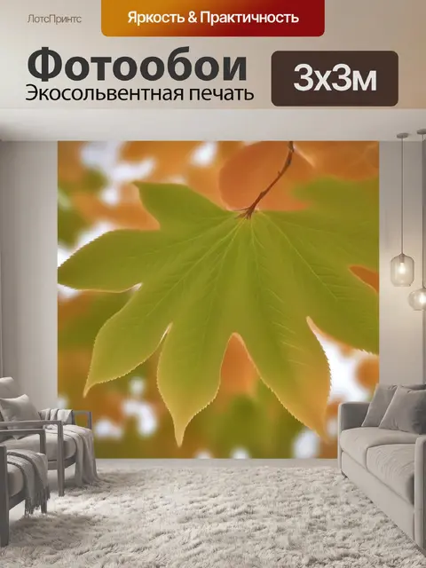 Фотообои огромный лист