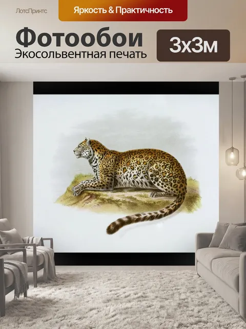 Фотообои Большая кошка леопард кошка ягуар