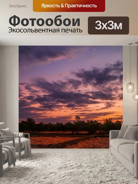 Фотообои дерево на закате