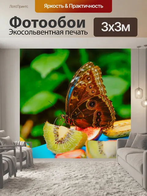 Фотообои Бабочка