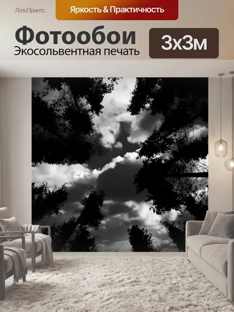 Фотообои Деревья