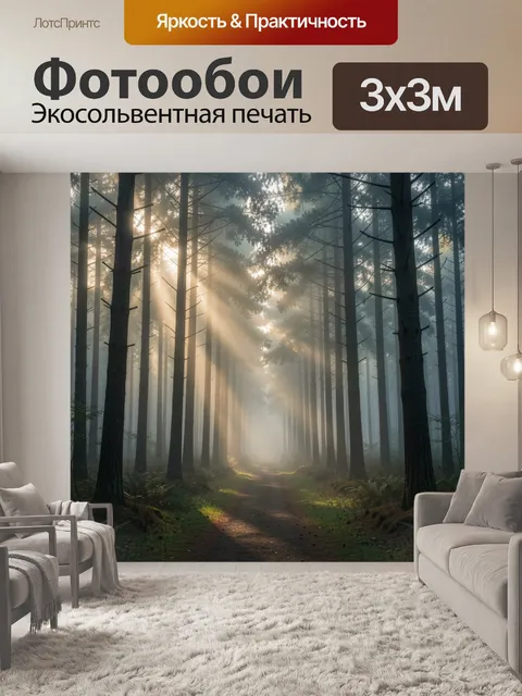 Фотообои Лесная тропа в утреннем тумане