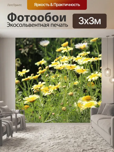 Фотообои Цветы