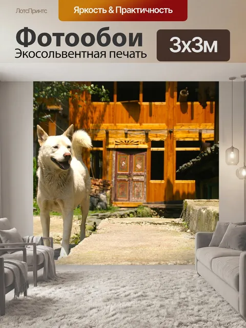 Фотообои Собака