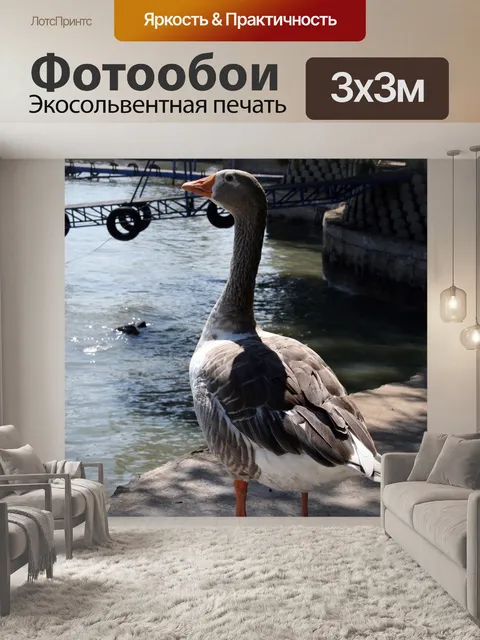Фотообои Гусь