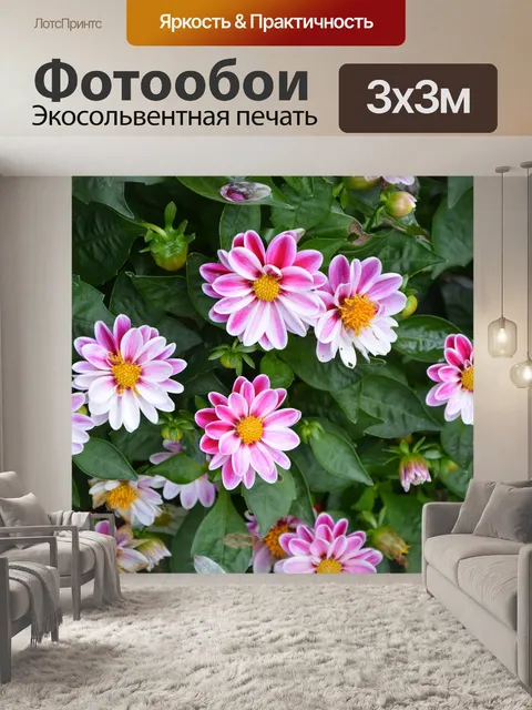 Фотообои Цветы