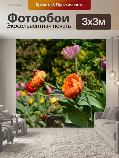 Фотообои Пион