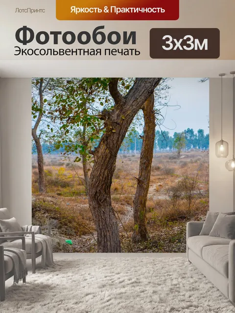 Фотообои Деревья