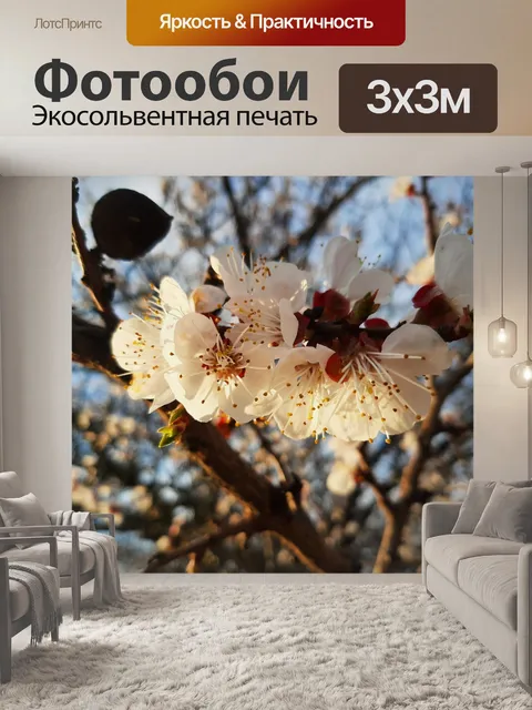 Фотообои Сливы