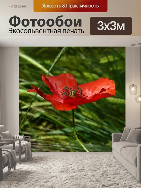 Фотообои Цветы