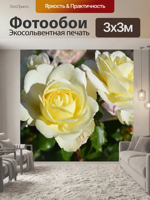 Фотообои Расцветает