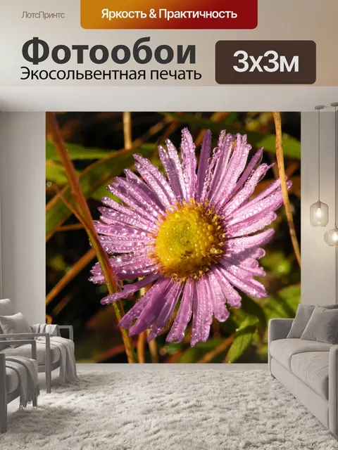 Фотообои Розовый