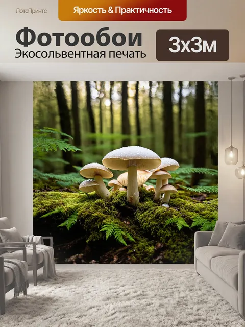 Фотообои в густом лесу, среди мха и древесных остатков, растут изящные шампиньоны, покрытые капельками росы