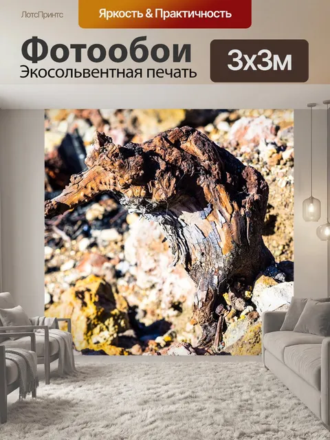 Фотообои Древесина