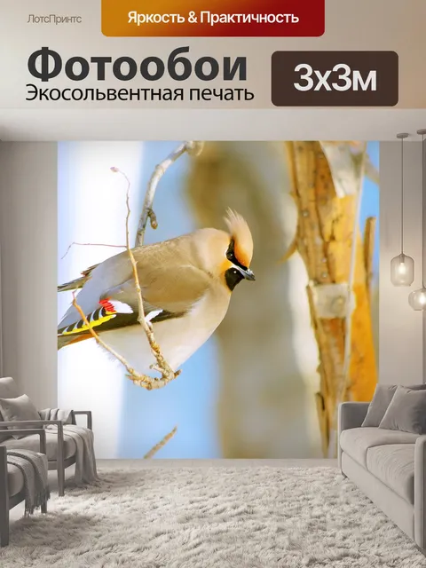 Фотообои Зима