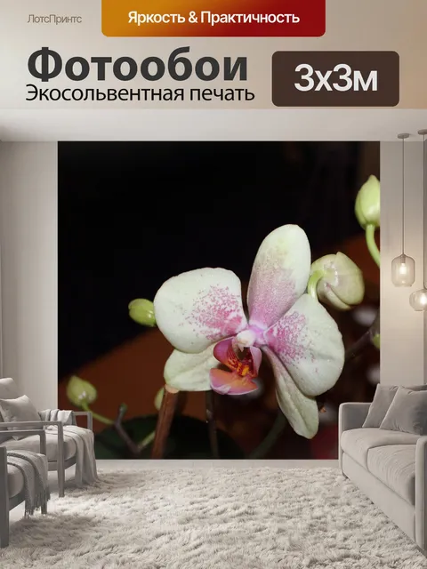 Фотообои Фон