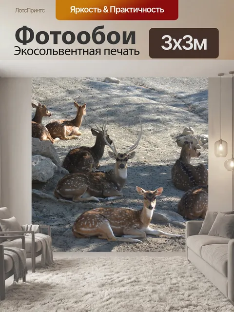 Фотообои Лань Семья
