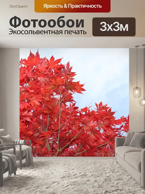 Фотообои Клен