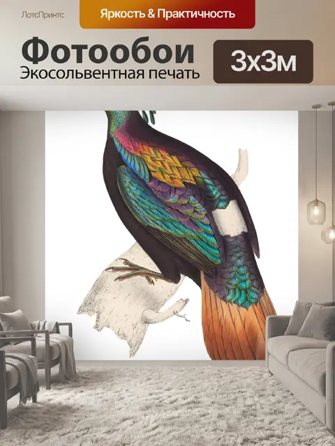 Фотообои Винтаж Тропическое Искусство Птицы