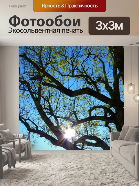 Фотообои Дерево