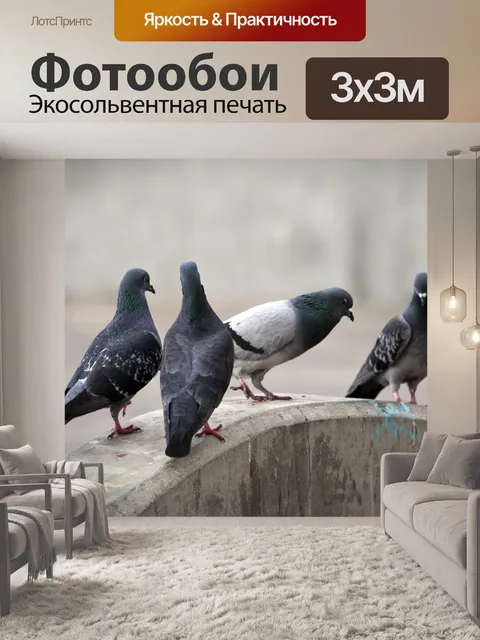 Фотообои Стая голуби