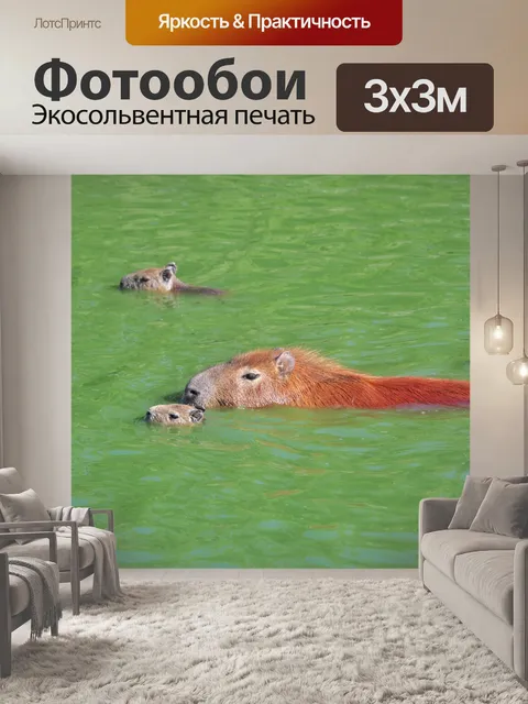 Фотообои Капибара