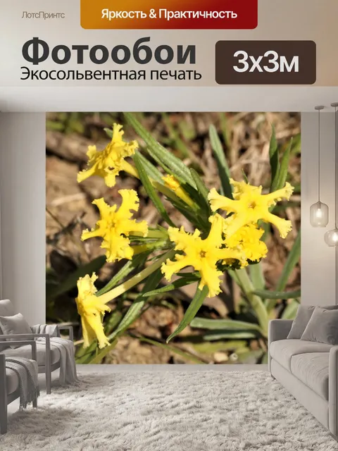 Фотообои Полевые цветы с бахромой