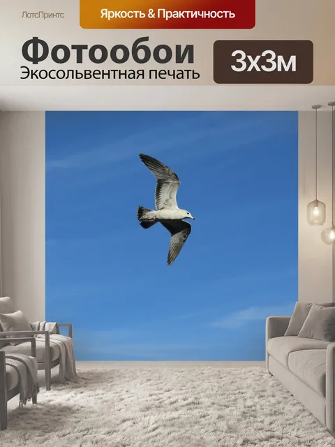 Фотообои Птица