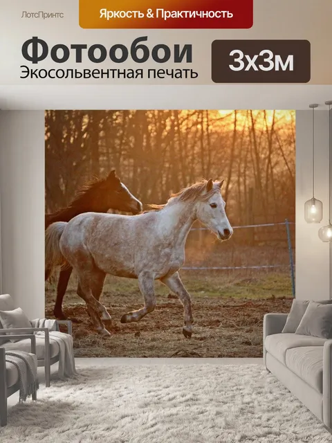 Фотообои Лошадь