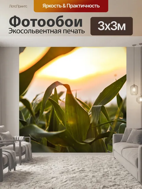 Фотообои Кукурузное поле